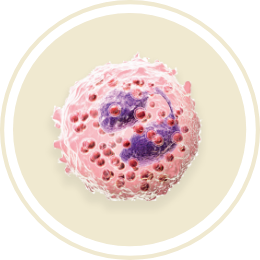 eosinophil cell