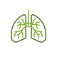 lungs with pulmonary veins