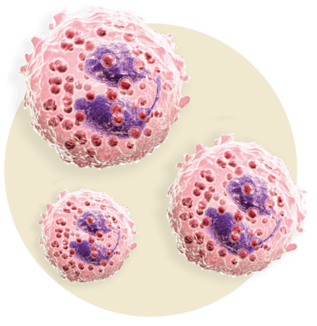 eosinophil cells